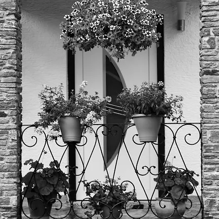 Kulm * Bad Mitterndorf