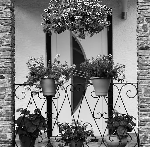 Kulm * Bad Mitterndorf